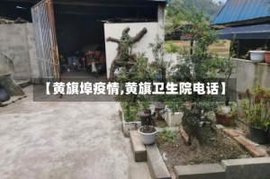 【黄旗埠疫情,黄旗卫生院电话】
