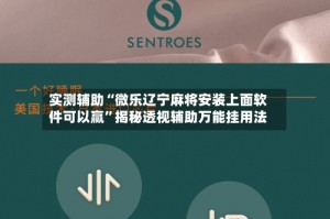 实测辅助“微乐辽宁麻将安装上面软件可以赢”揭秘透视辅助万能挂用法
