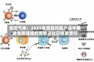 金宏气体：2025年度超纯氨产品中集成电路领域的营收占比已稳居首位