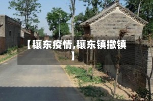 【穰东疫情,穰东镇撤镇】