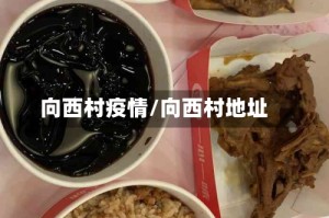 向西村疫情/向西村地址