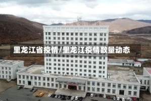 里龙江省疫情/里龙江疫情数量动态