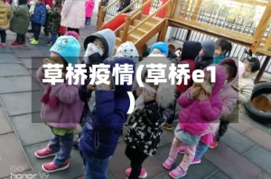 草桥疫情(草桥e1)