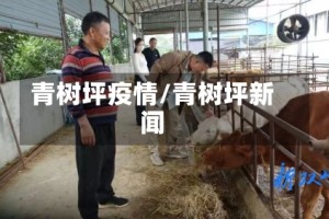 青树坪疫情/青树坪新闻