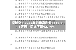 深城交：2025年归母净利润6116.65万元，同比下降42.14%