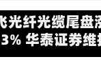 长飞光纤光缆尾盘涨近13% 华泰证券维持“增持”评级