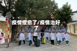 疫情痊愈了/疫情治好了