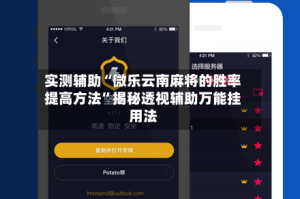 实测辅助“微乐云南麻将的胜率提高方法”揭秘透视辅助万能挂用法