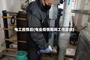 电工疫情后(电业疫情期间工作总结)