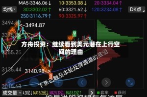 方舟投资：继续看到美元潜在上行空间的理由