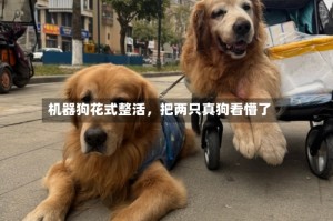 机器狗花式整活，把两只真狗看懵了