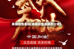 美国疫情募捐(美国疫情募捐多少钱)
