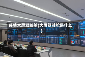 疫情大屏驾驶舱(大屏驾驶舱是什么)