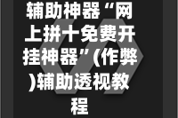辅助神器“网上拼十免费开挂神器”(作弊)辅助透视教程