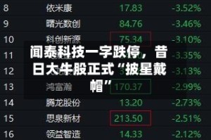 闻泰科技一字跌停，昔日大牛股正式“披星戴帽”