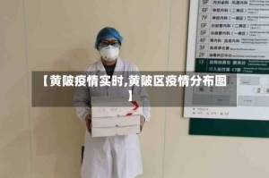 【黄陂疫情实时,黄陂区疫情分布图】
