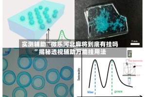 实测辅助“微乐河北麻将到底有挂吗”揭秘透视辅助万能挂用法