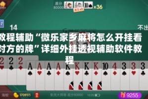 教程辅助“微乐家乡麻将怎么开挂看对方的牌”详细外挂透视辅助软件教程