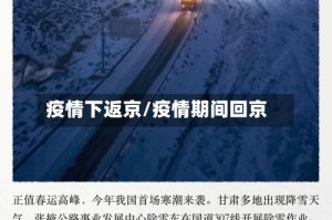 疫情下返京/疫情期间回京