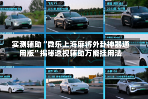 实测辅助“微乐上海麻将外卦神器通用版”揭秘透视辅助万能挂用法