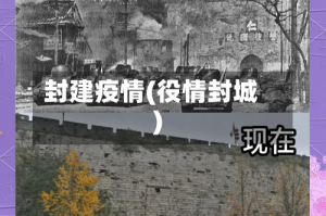 封建疫情(役情封城)