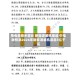 用电量稳步增长 新能源装机提速 中电联预测2026年新能源装机或超3亿千瓦