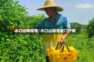 水口山镇疫情/水口山镇党政门户网