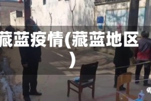 藏蓝疫情(藏蓝地区)
