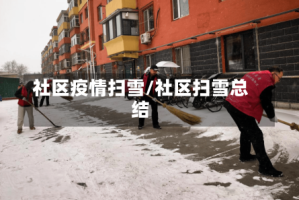 社区疫情扫雪/社区扫雪总结