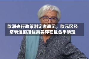 欧洲央行政策制定者表示，欧元区经济衰退的担忧真实存在且合乎情理