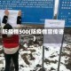 防疫情500(防疫情宣传语)