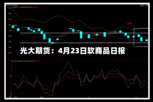 光大期货：4月23日软商品日报