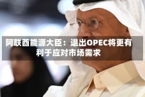 阿联酋能源大臣：退出OPEC将更有利于应对市场需求