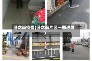 卧龙岗疫情(卧龙岗片区一期进展)