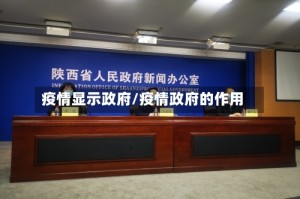 疫情显示政府/疫情政府的作用