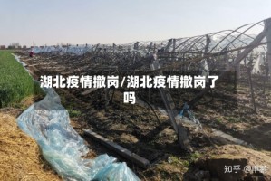 湖北疫情撤岗/湖北疫情撤岗了吗
