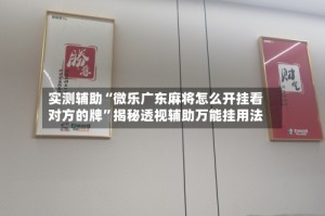 实测辅助“微乐广东麻将怎么开挂看对方的牌”揭秘透视辅助万能挂用法