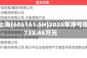 西上海(605151.SH)2025年净亏损733.46万元