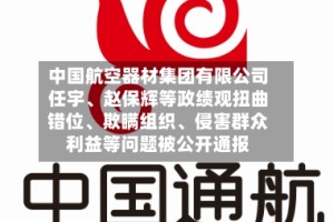 中国航空器材集团有限公司任宇、赵保辉等政绩观扭曲错位、欺瞒组织、侵害群众利益等问题被公开通报
