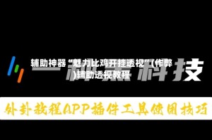 辅助神器“魅力比鸡开挂透视”(作弊)辅助透视教程