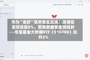 华为“龙虾”筑牢安全防线！浪潮信息领涨超8%，聚焦数据安全领域的——华宝基金大数据ETF（516700）拉升2%