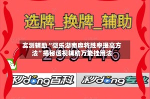 实测辅助“微乐湖南麻将胜率提高方法”揭秘透视辅助万能挂用法