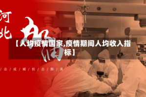 【人均疫情国家,疫情期间人均收入指标】