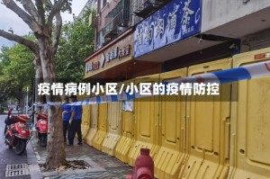 疫情病例小区/小区的疫情防控