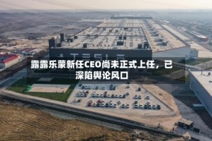 露露乐蒙新任CEO尚未正式上任，已深陷舆论风口