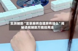 实测辅助“富豪麻将自建房有挂么”揭秘透视辅助万能挂用法