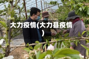 大力疫情(大力县疫情)