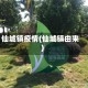仙城镇疫情(仙城镇由来)