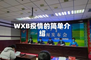 WXB疫情的简单介绍