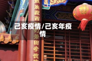 己亥疫情/己亥年疫情